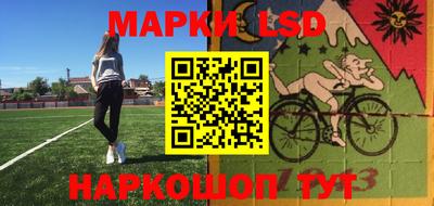шишки Славгород