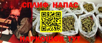 шишки Славгород