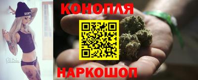 шишки Славгород
