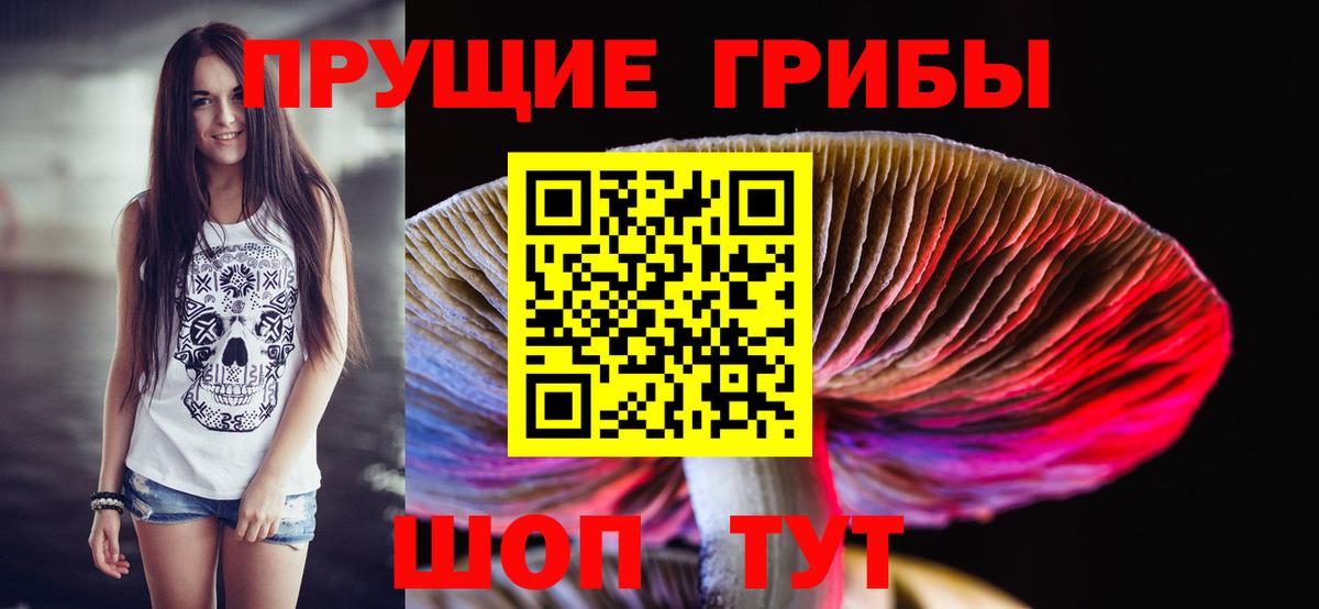 где найти наркотики  Галлюциногенные грибы ЛСД  Вход с VPN  Петрозаводск 